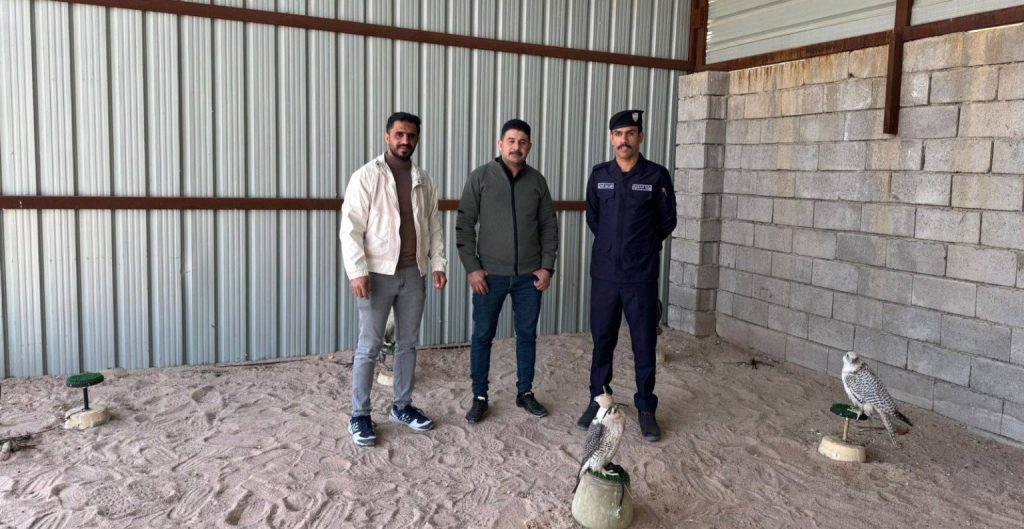 بيئة البصرة.. ضبط 19 صقراً مهربة في الزبير وإجراءات مشددة لتعزيز الرقابة