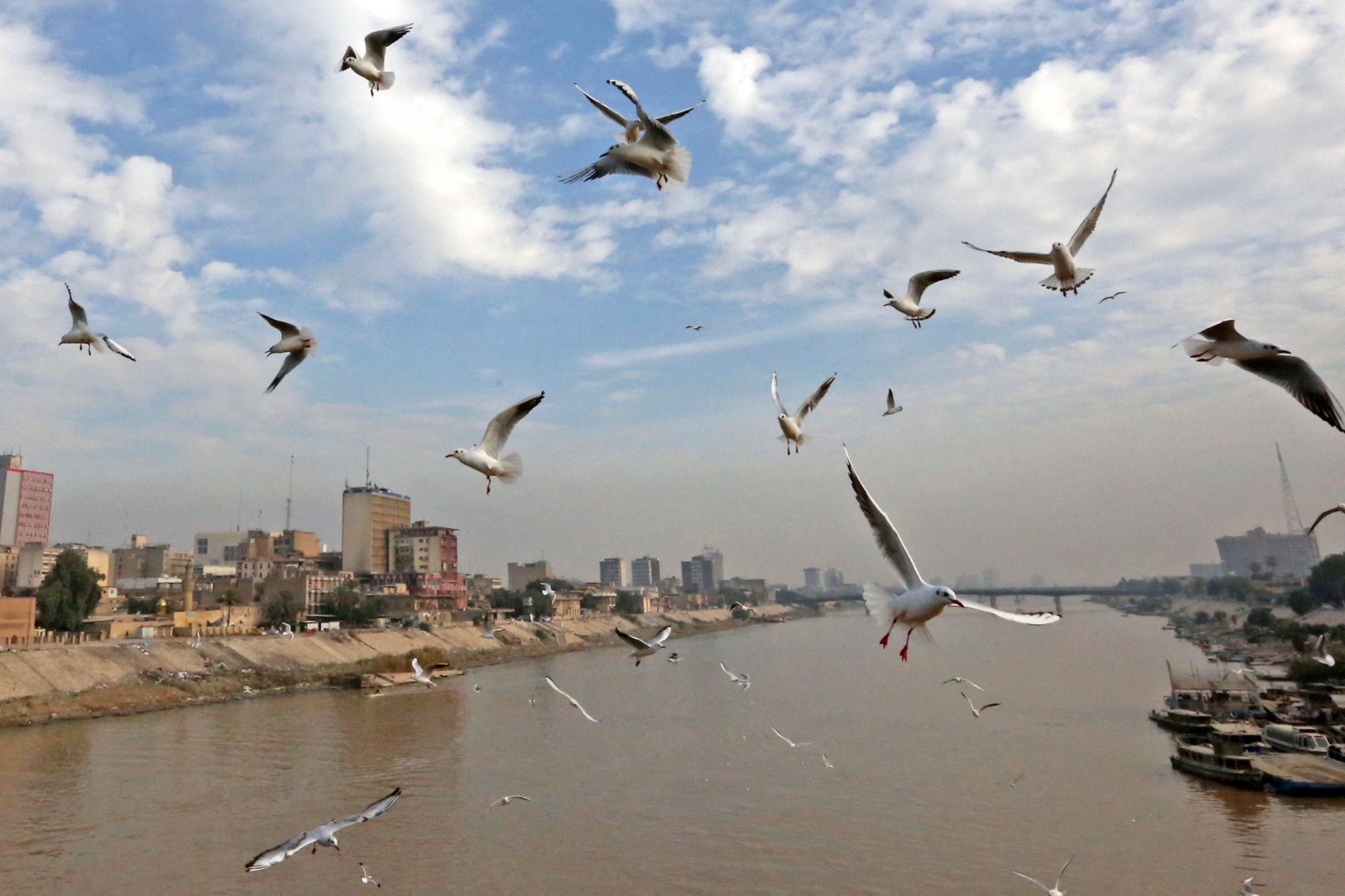 أمطار رعدية وسيول متوقعة خلال الأيام القادمة